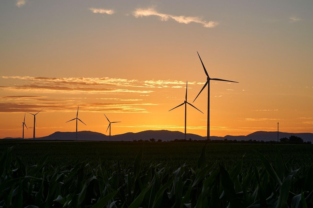 découvrez comment atteindre un succès durable grâce à des stratégies responsables et innovantes pour un avenir prospère et respectueux de l’environnement.