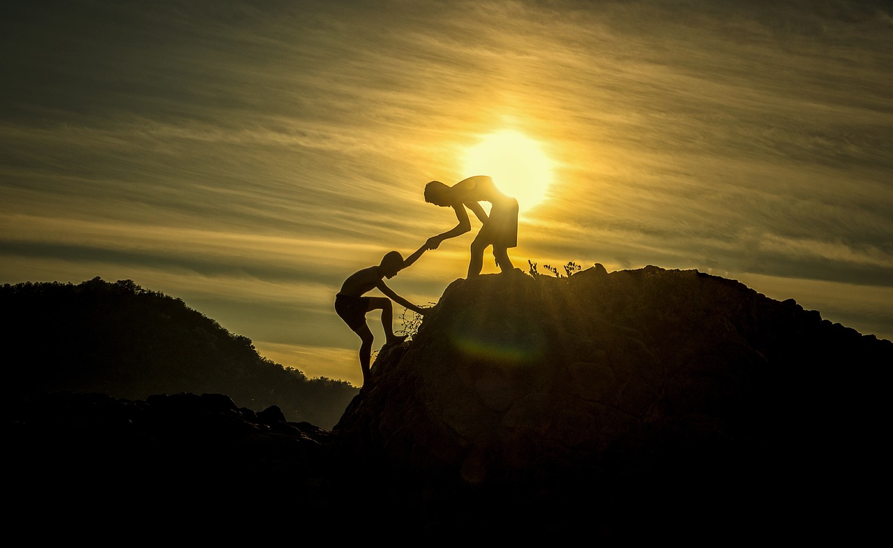 évaluez les performances et la fiabilité de vos partenaires financiers grâce à des outils d'analyse approfondis et des critères de sélection rigoureux. optimisez vos collaborations pour un avenir financier serein.