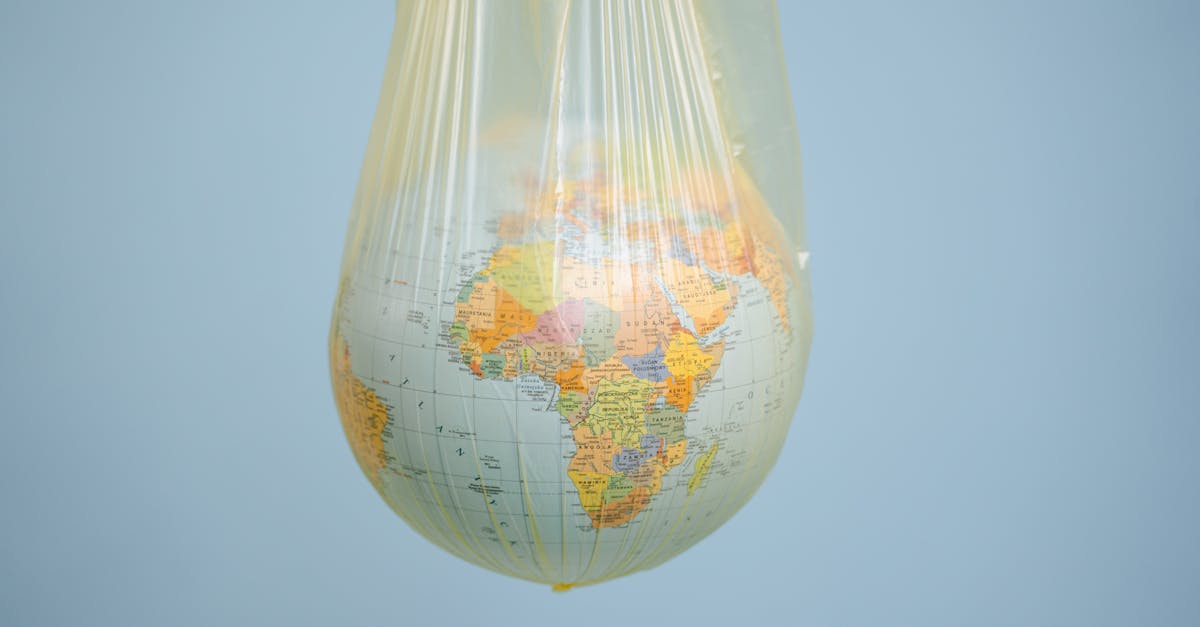 découvrez les principes du développement durable, une approche intégrant les aspects environnementaux, sociaux et économiques pour garantir un avenir responsable et équilibré. apprenez comment adopter des pratiques durables dans votre vie quotidienne et contribuer à la préservation de notre planète.