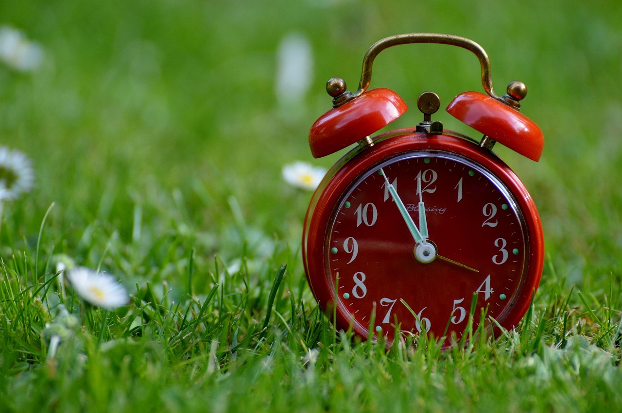 découvrez les horaires d’ouverture, les jours d’ouverture et de fermeture, ainsi que toutes les informations pratiques pour organiser votre visite facilement.