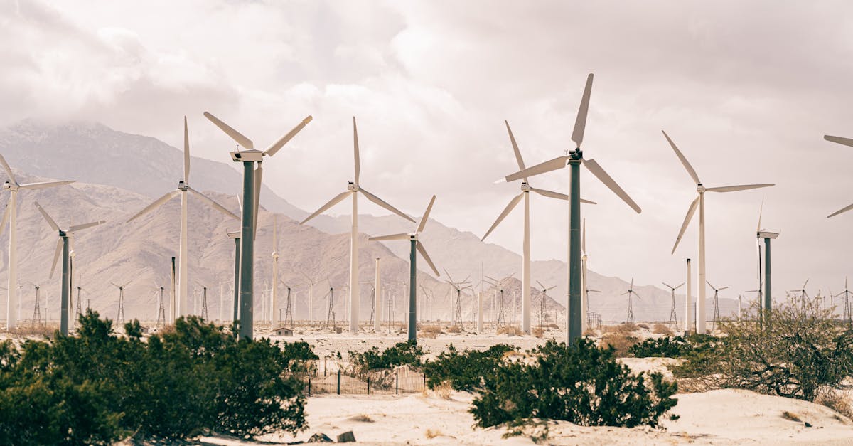 Croissance économique : stratégies pour un développement durable