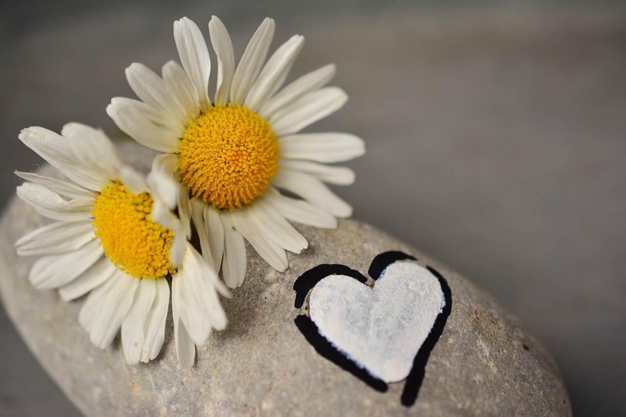 Comment faire des partenariats avec des marques sur un blog d’entrepreneuriat ?