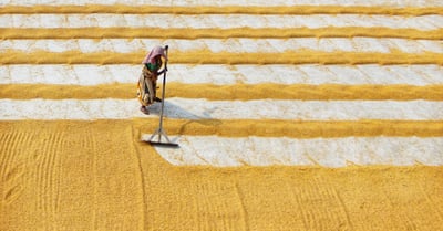 Subventions : Guide complet pour comprendre les aides financières disponibles