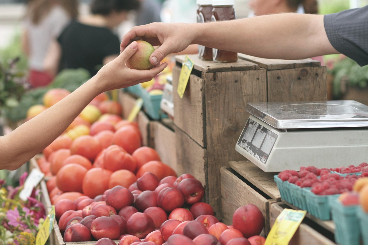 Vendre rapidement sur mc shopen : astuces essentielles et conseils efficaces en 2025