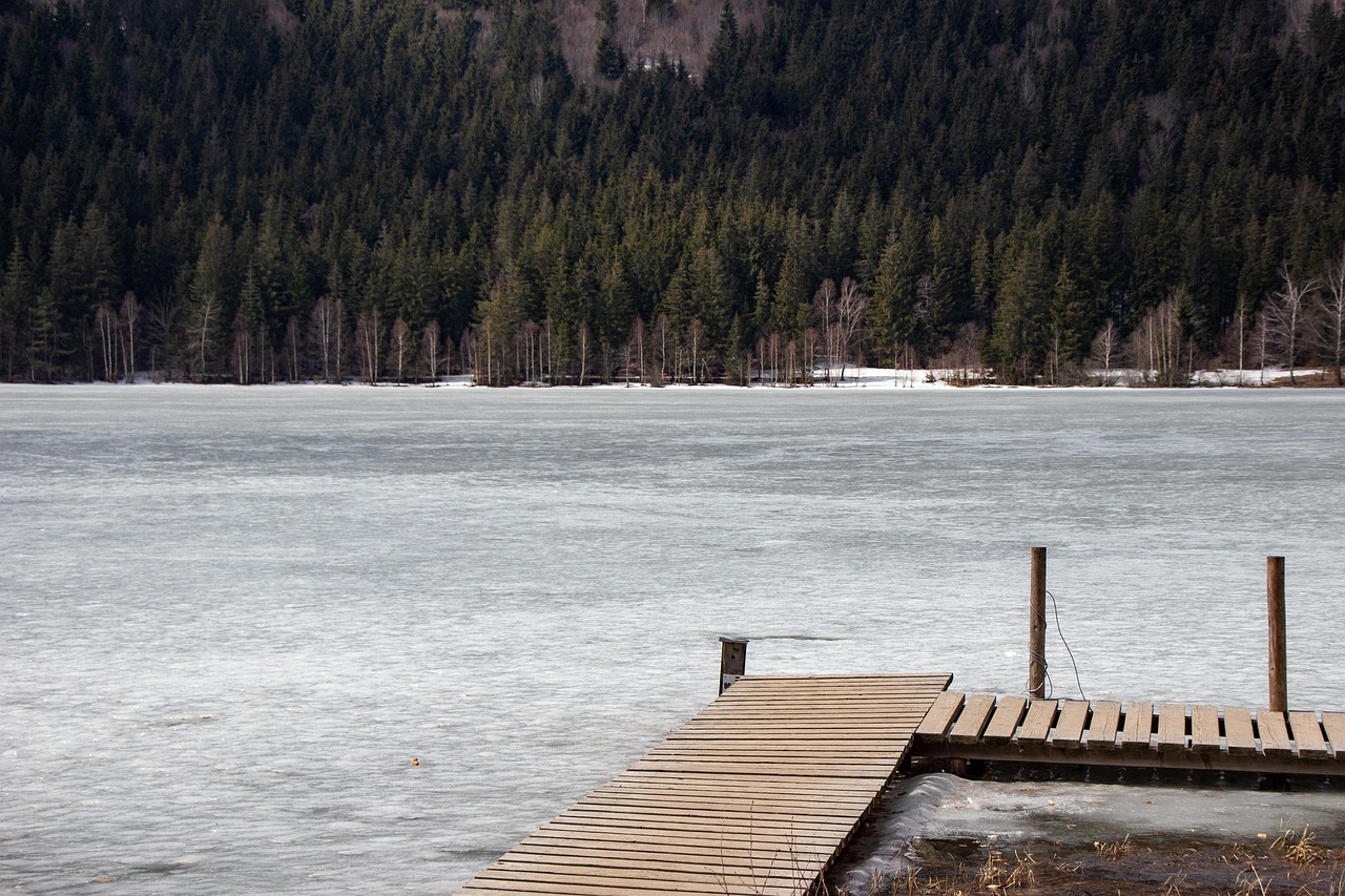 Découvrez Ana Ivars : Un Portrait de la Personnalité Étoile
