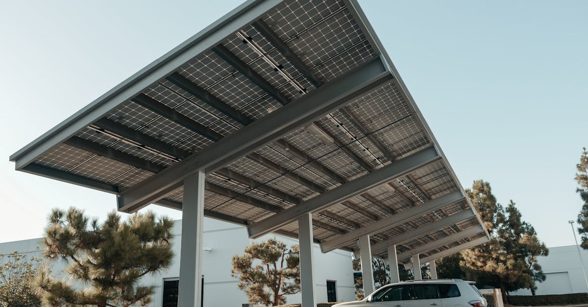 Développement durable : Solutions innovantes pour un avenir meilleur