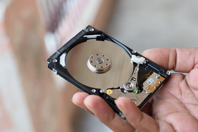 Les métiers accessibles sans diplôme en 2025 : exemples et conseils pour réussir