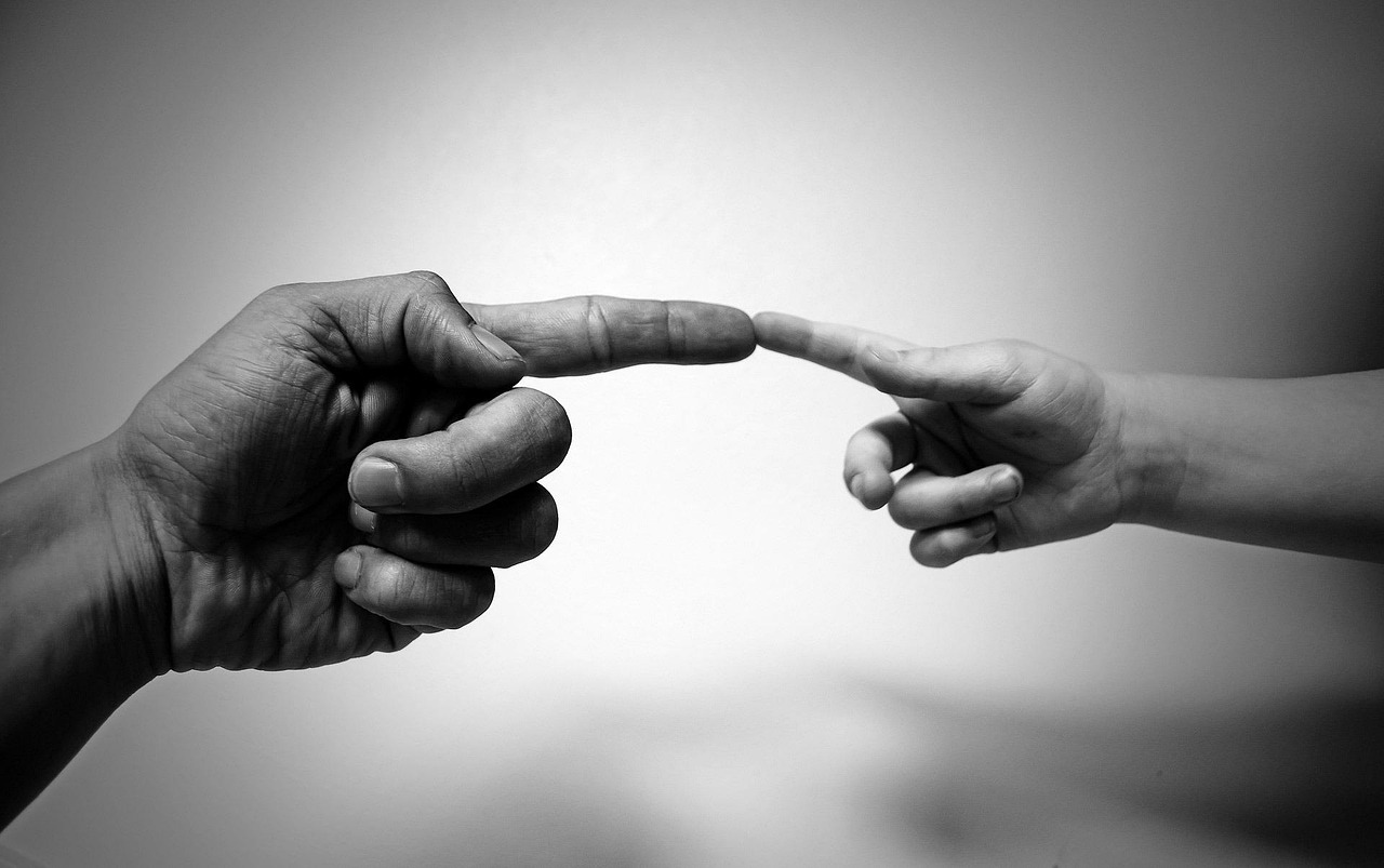 comment entrer en contact avec le comité d’entreprise Pôle emploi Occitanie en 2025 ?