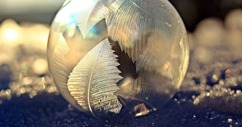 Quand la spéculation tourne mal : les leçons des bulles