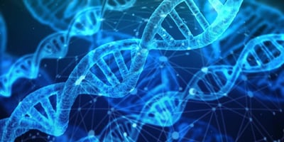 Découvrez le parcours fascinant de Daniel Bilbao : un homme au cœur de l’innovation