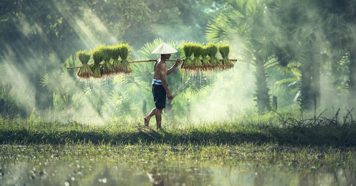 découvrez comment les entreprises durables transforment le paysage économique en adoptant des pratiques éthiques et respectueuses de l'environnement. apprenez les stratégies clés pour intégrer la durabilité dans votre modèle d'affaires et contribuer à un avenir plus responsable.