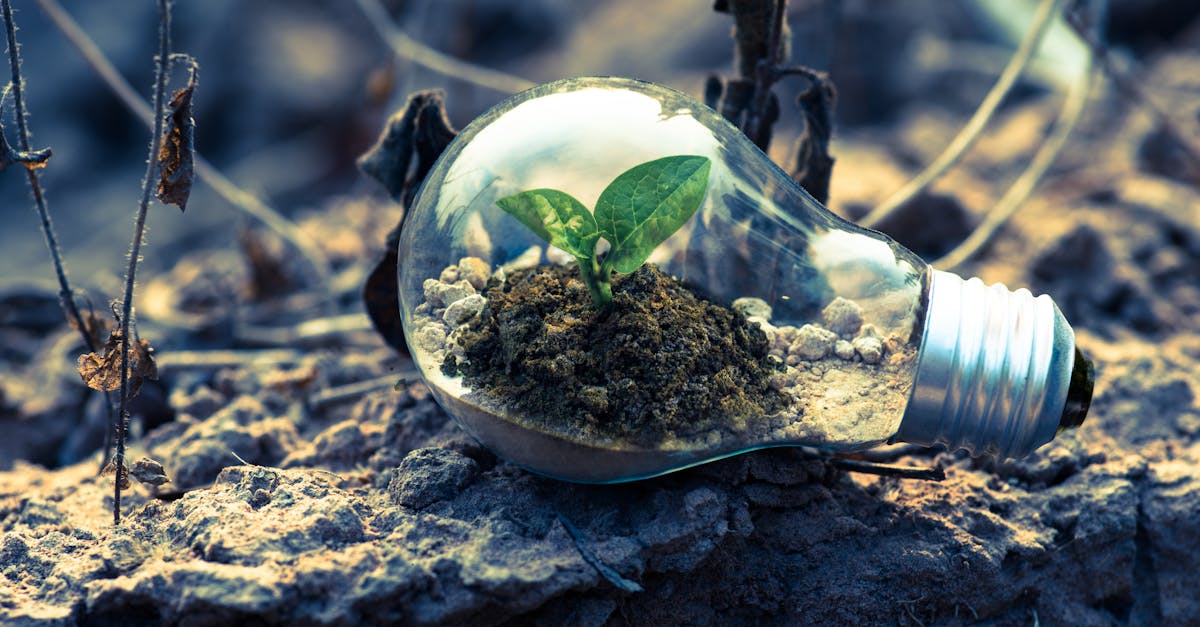 Technologie : Comment les innovations transforment notre quotidien