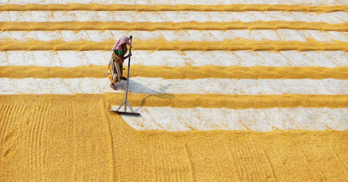 découvrez tout ce qu'il faut savoir sur les subventions : avantages, types, et comment en bénéficier pour soutenir vos projets et initiatives. profitez des aides financières pour stimuler votre développement.
