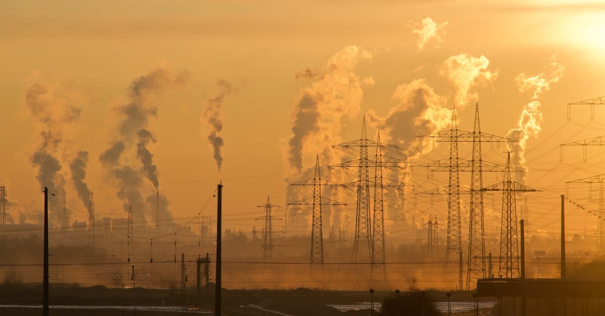 découvrez l'impact environnemental des activités humaines et comment nous pouvons tous contribuer à la protection de notre planète. engagez-vous pour un avenir durable grâce à des pratiques respectueuses de l'environnement.