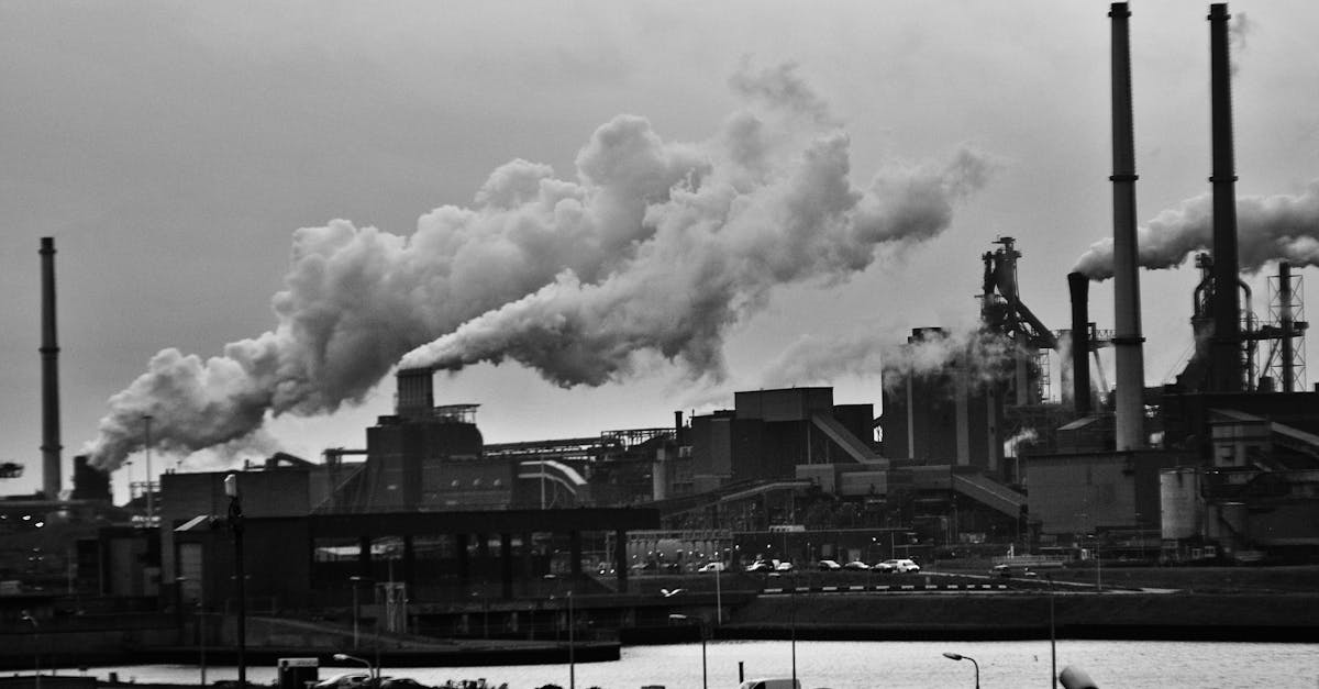 découvrez l'impact environnemental des activités humaines, les enjeux écologiques majeurs et les solutions durables pour préserver notre planète. explorez comment chacun peut contribuer à un avenir plus vert.