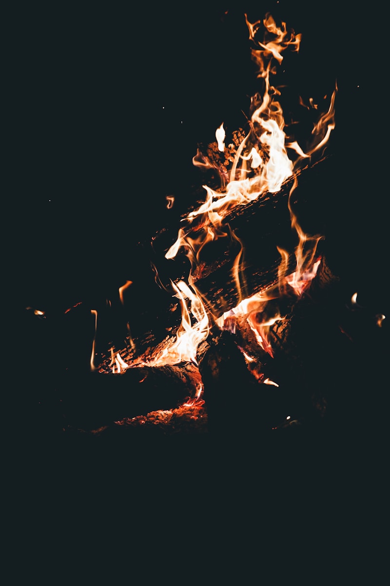 burning woods