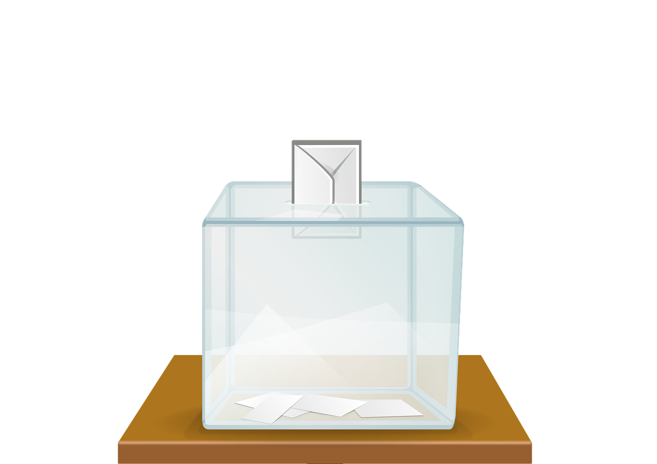 découvrez le processus électoral : étapes, organisation et enjeux pour garantir des élections libres, transparentes et démocratiques.