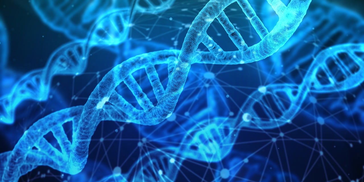découvrez comment l'innovation transforme les entreprises, stimule la croissance et façonne l'avenir à travers de nouvelles idées, technologies et approches créatives.
