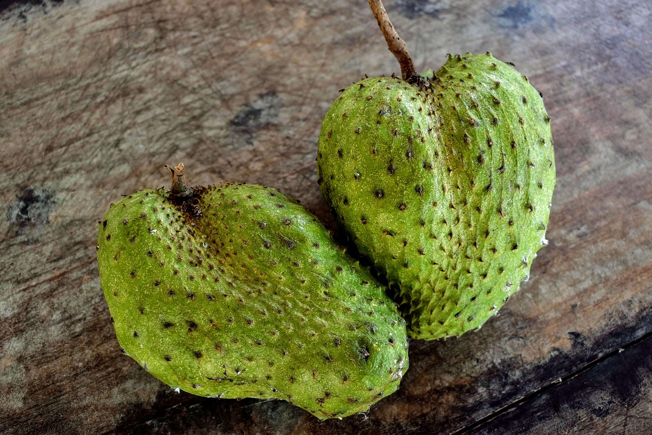 découvrez le soursop, également appelé graviola ou corossol, un fruit exotique réputé pour sa saveur unique et ses nombreux bienfaits pour la santé. apprenez tout sur ses valeurs nutritionnelles, ses usages et ses vertus.