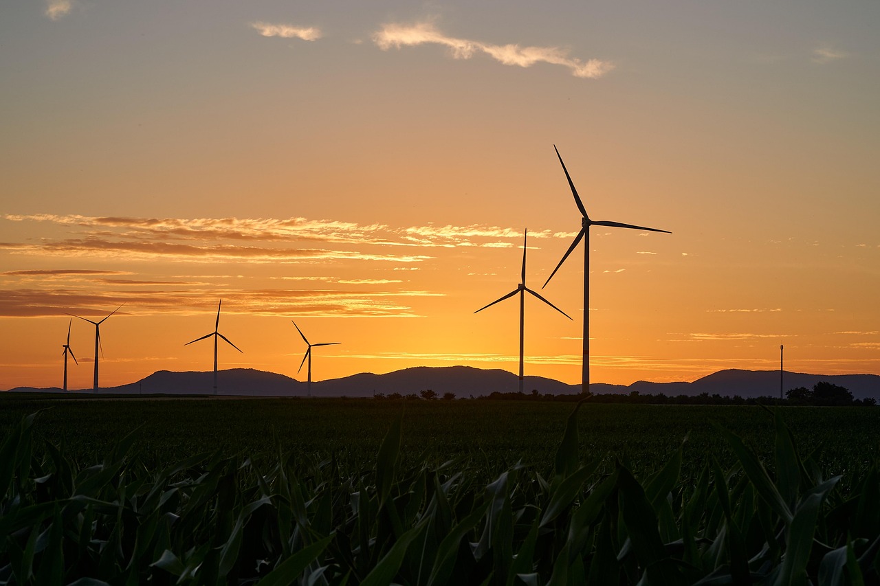 découvrez comment atteindre un succès durable grâce à des stratégies responsables et innovantes pour un avenir prospère et respectueux de l’environnement.