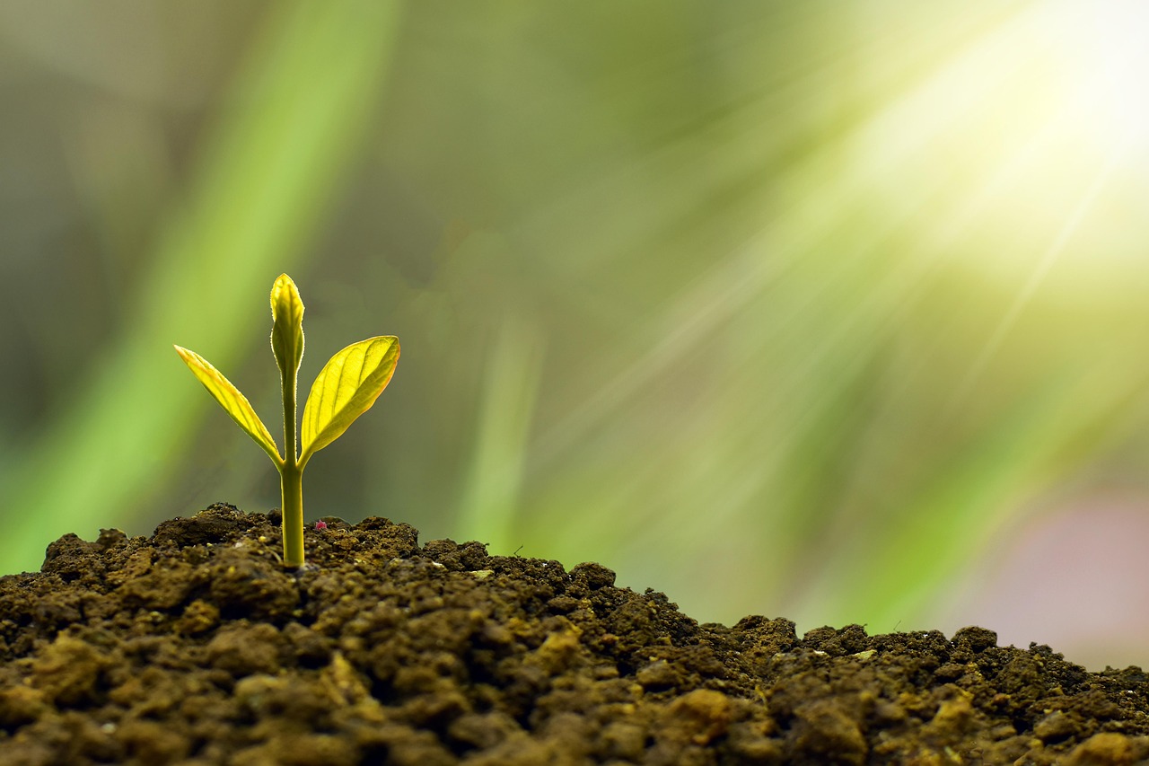 De la tendance éphémère à un succès durable : Rencontre avec La Garçonnière