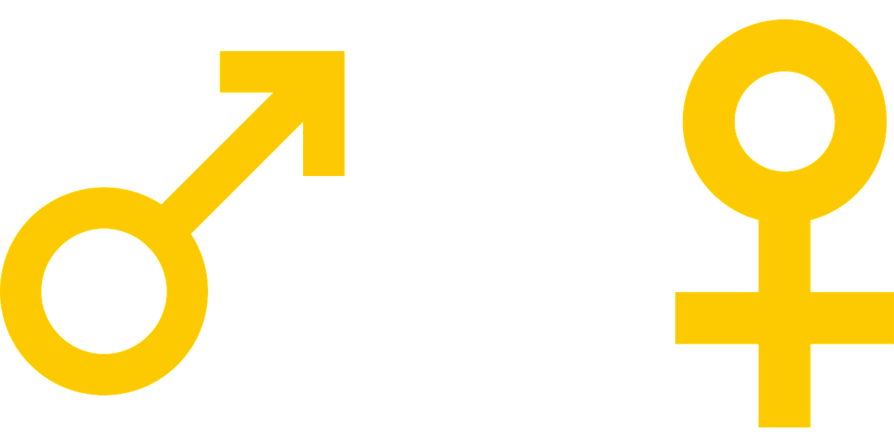 découvrez les disparités entre les sexes dans l'entrepreneuriat, analyse des obstacles et opportunités pour favoriser l'égalité dans la création d'entreprise.